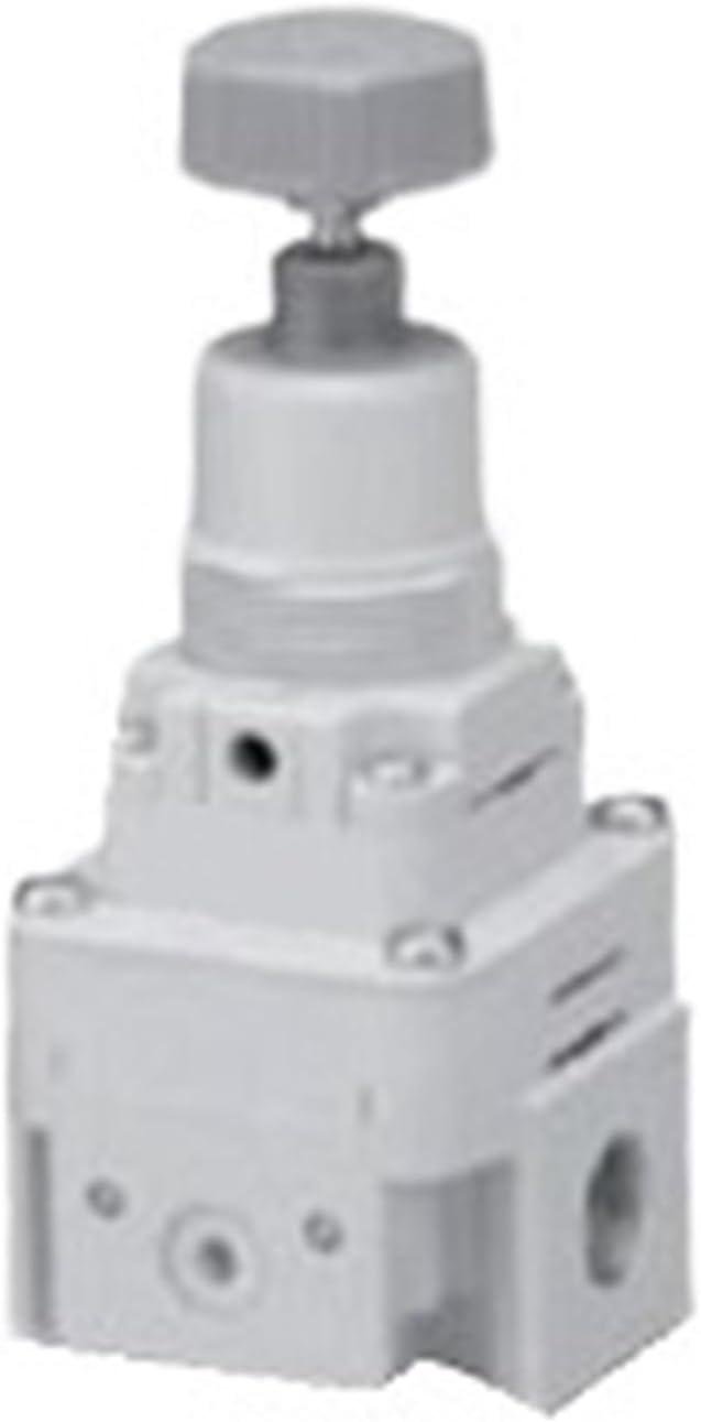 真作/國井道成/国井道成/旭日松上双鶴図/桐共箱付/布袋屋掛軸HG-388 真